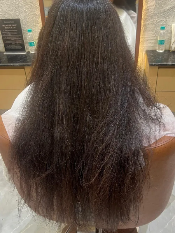 Before Nanoplastia — dry unmanageable frizzy hair at L'Amour Luxe Kharghar
